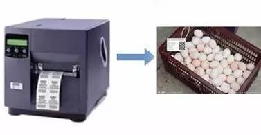 二維碼追溯食品安全，黃埔區(qū)試點推廣應用